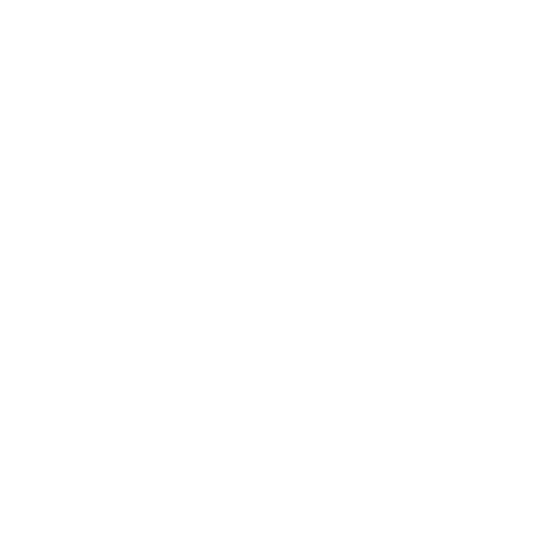 Panamerik: Inteligencia Artificial, Ecommerce, Magento, WooCommerce, SEO.